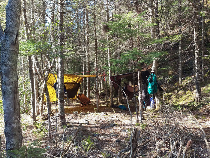 Hammock and Tarp Setups